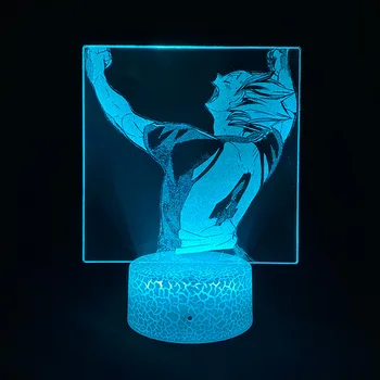 Haikyuu Yu Nishinoya Anime figürleri 3D resim lambaları Led gerçekçi USB akrilik gece ışıkları RGB yatak odası masa renkli dekorasyon