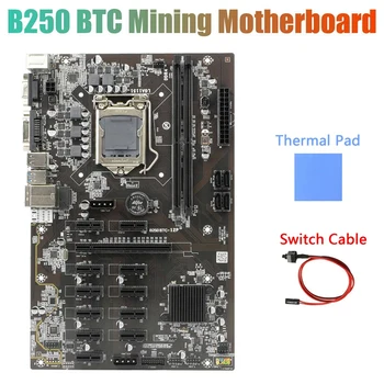 NEW - B250 BTC Madencilik Anakart Termal Ped + Anahtarı Kablosu 12XGraphics Kart Yuvası LGA 1151 USB3.0 SATA 3.0 BTC Madenci