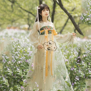 Yaz Ulusal Stil Kadın Klasik Hanfu Elbise Kadın Göğüs Tam Etek Süper Peri Nakış Antik Stil Uzun Etek SL5143