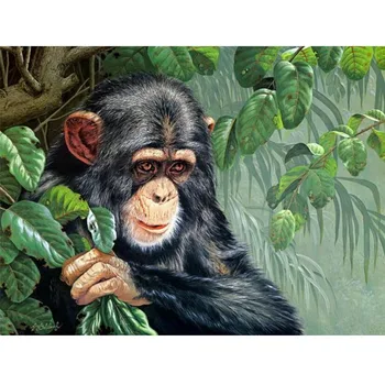 5d Yuvarlak Elmas Nakış Şempanze Hayvanlar Resimleri Rhinestones Elmas Mozaik Resim Tam Kare Elmas Nokta Maymun